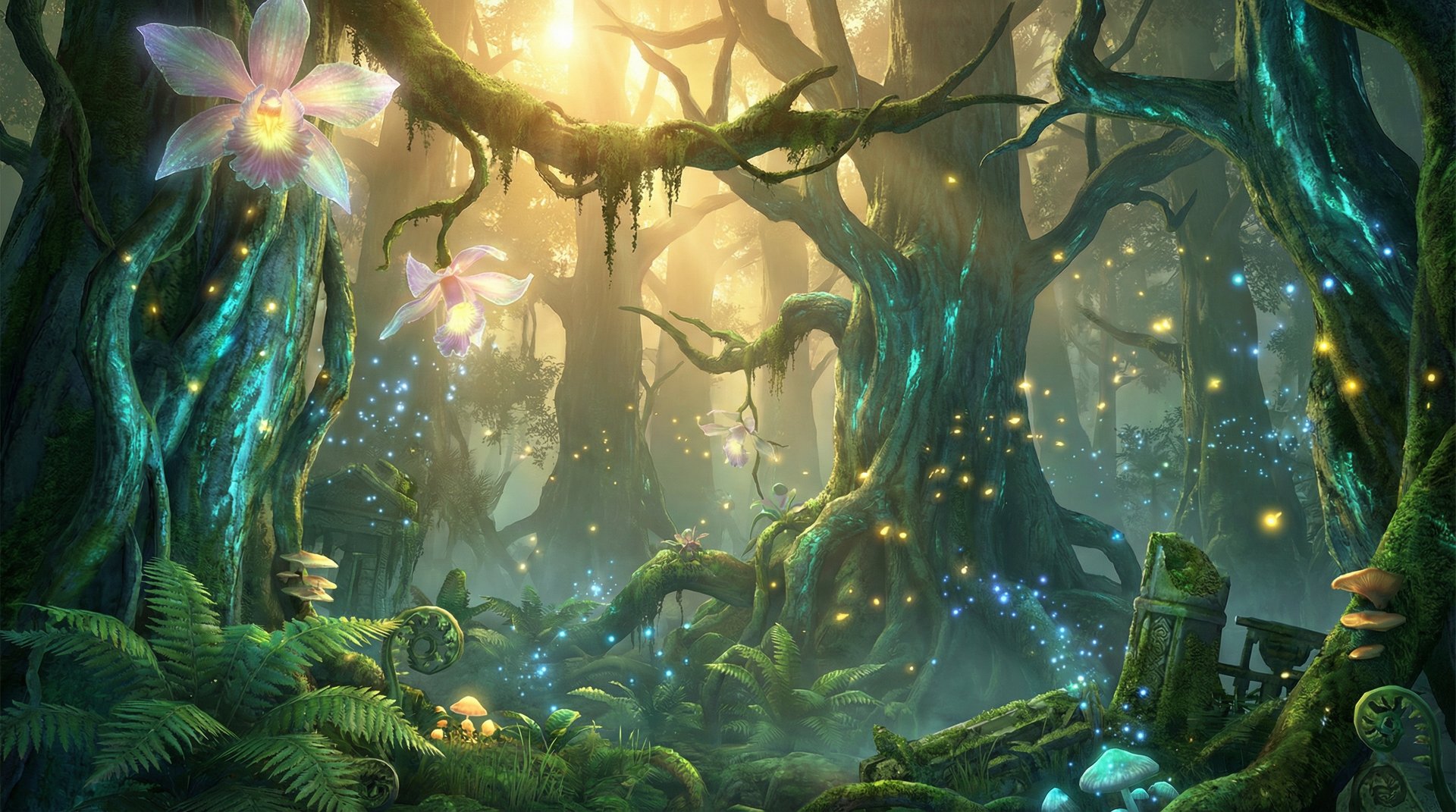 偷拍天山雪岭云杉探秘植物视频