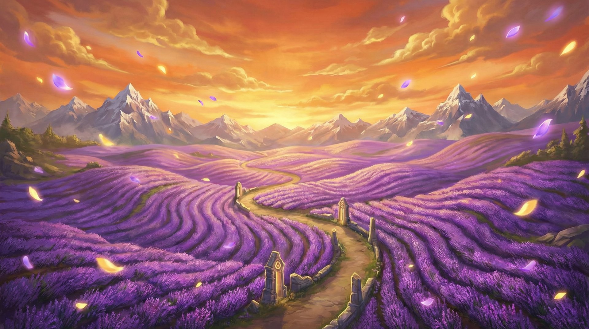 偷拍薰衣草花海航拍植物视频